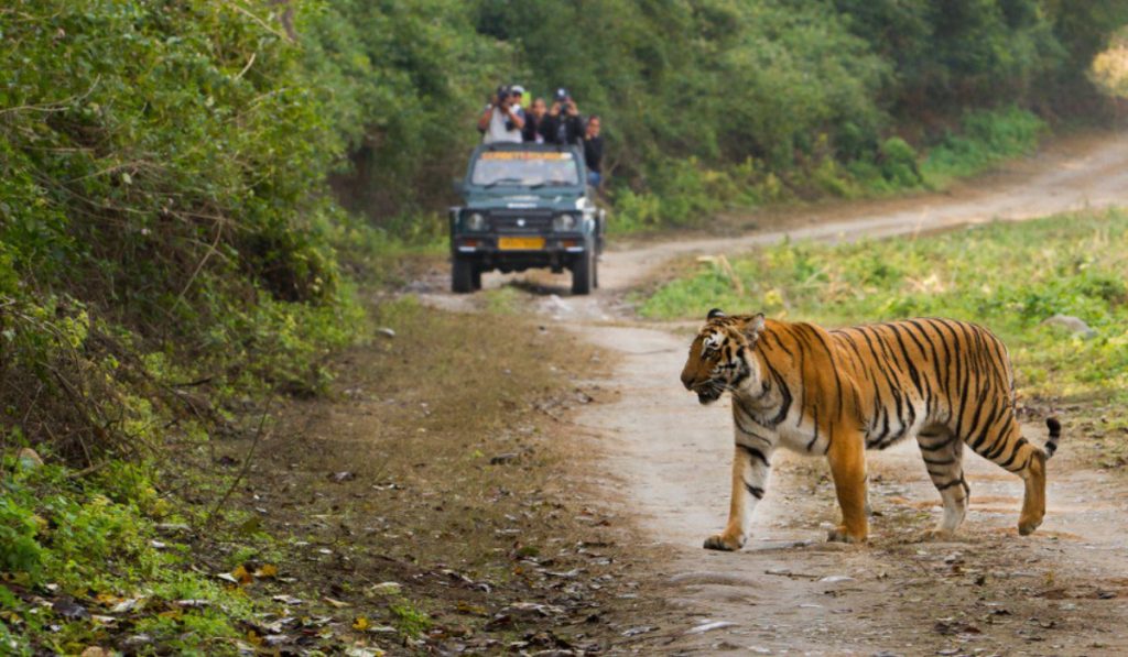 Jim Corbett is a national park of India which provides a best wildlife touring experience.
