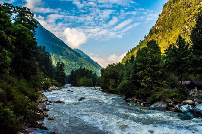 Parvati River flowing through Kasol valley surrounded by deodar trees.